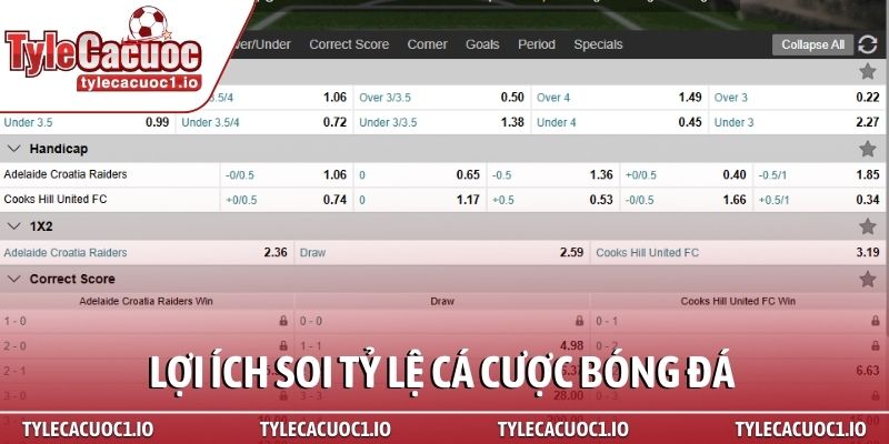 Tỷ Lệ Cá Cược Bóng Đá 1 Lợi ích khi soi tỷ lệ cá cược bóng đá